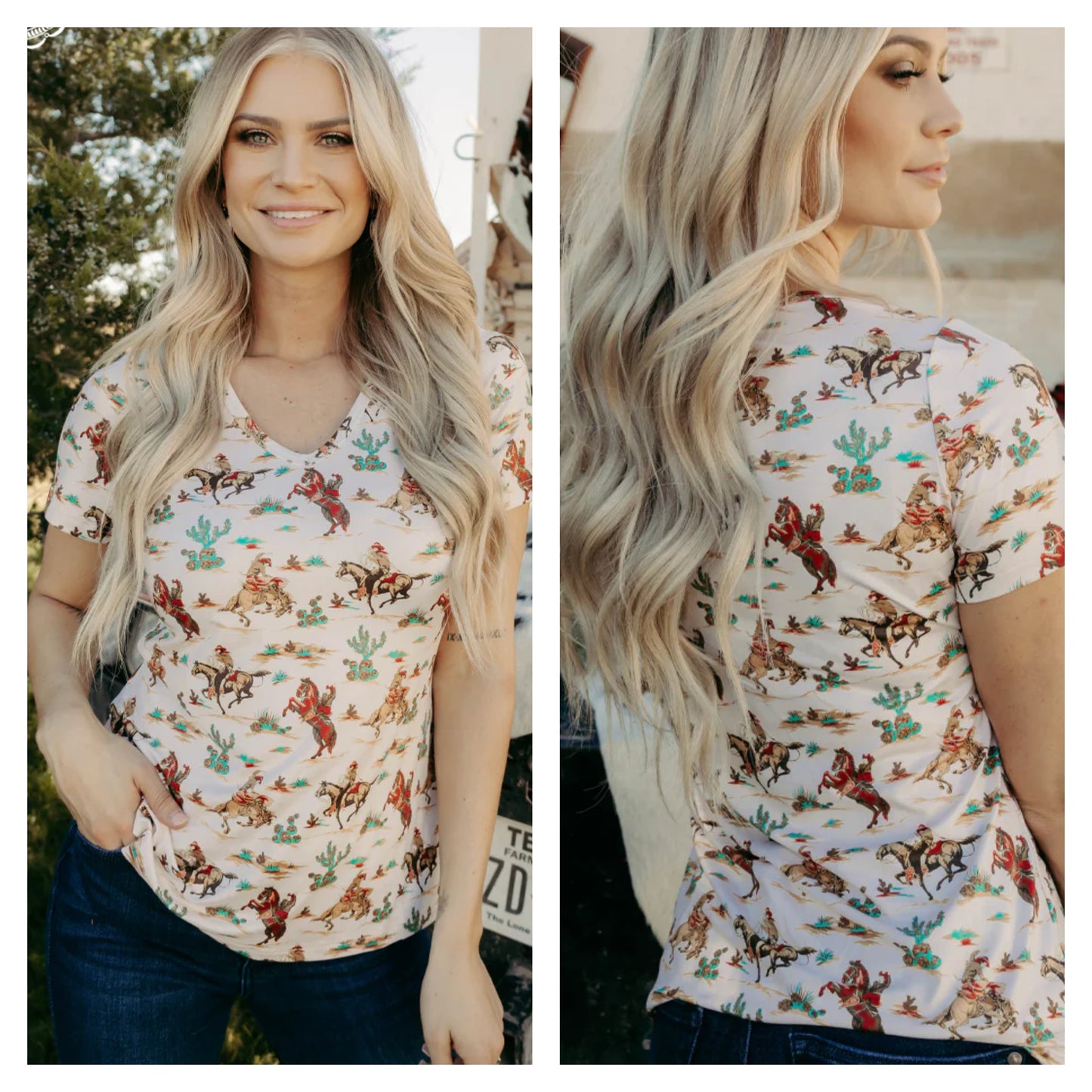 Western Wonderland Top